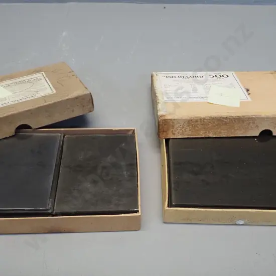 2 boxes glass plate negatives attrib. EA Philips: Duke of York (George VI) 1927 visit, assorted half-plate negatives etc