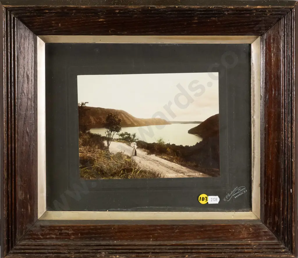 framed vintage hand coloured  CP Parkinson photograph c 1900-  Lake Rotorua H-300 W-210 Image 1++