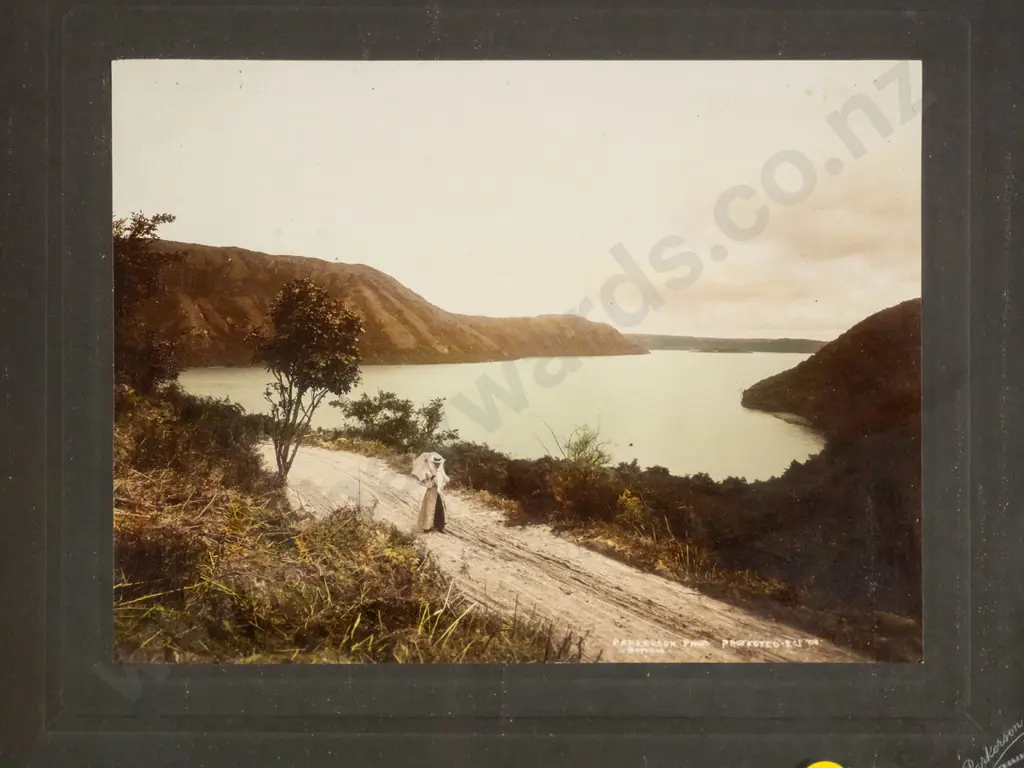 framed vintage hand coloured  CP Parkinson photograph c 1900-  Lake Rotorua H-300 W-210 Image 1++