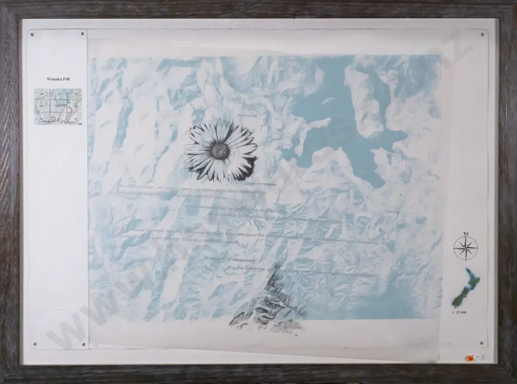 illegible signature 2005 framed print 2 of 2 "Wanaka 40"  H-570 W-1000 (artwork needs attention) Image 1++