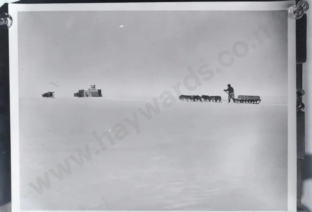 2 boxes glass plate negatives attrib EA Phillips: pipe bands, group portraits, arctic expedition copy photos, one box is Image 1++