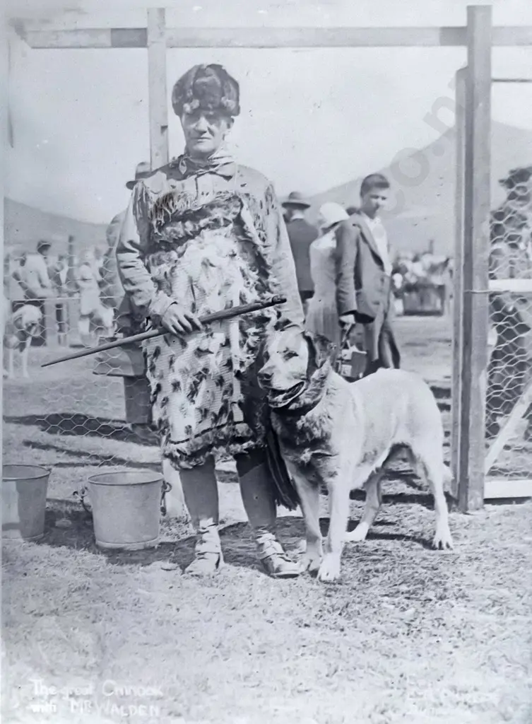 2 boxes glass plate negatives attrib EA Phillips: pipe bands, group portraits, arctic expedition copy photos, one box is Image 1++