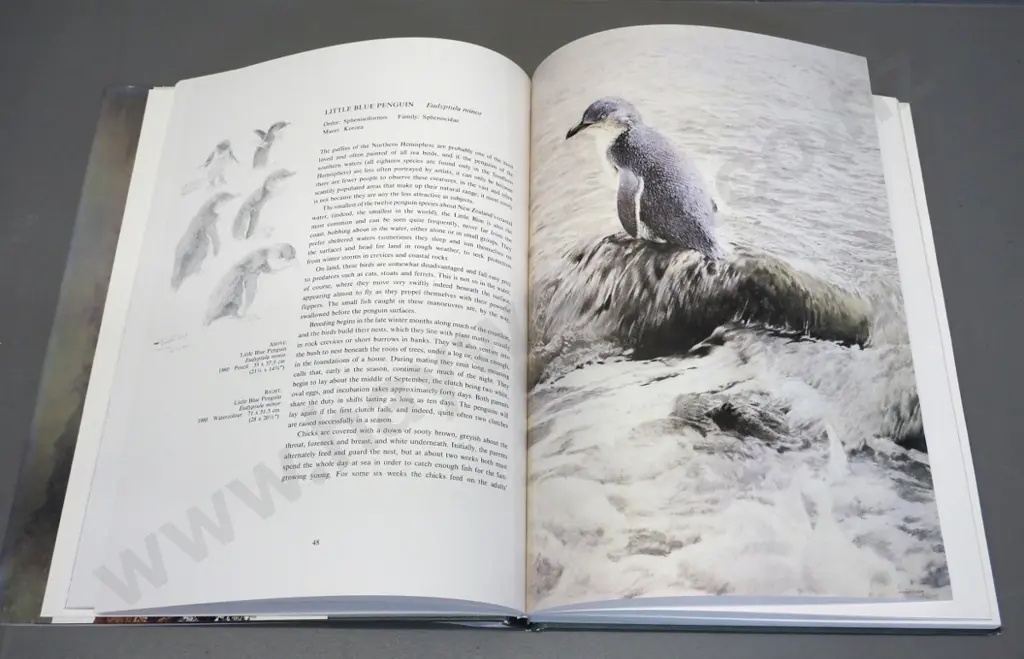 hard cover book: Raymond Ching 'New Zealand Birds - an Artists's Field Studies' 1986, Reed-Methuen Image 1++