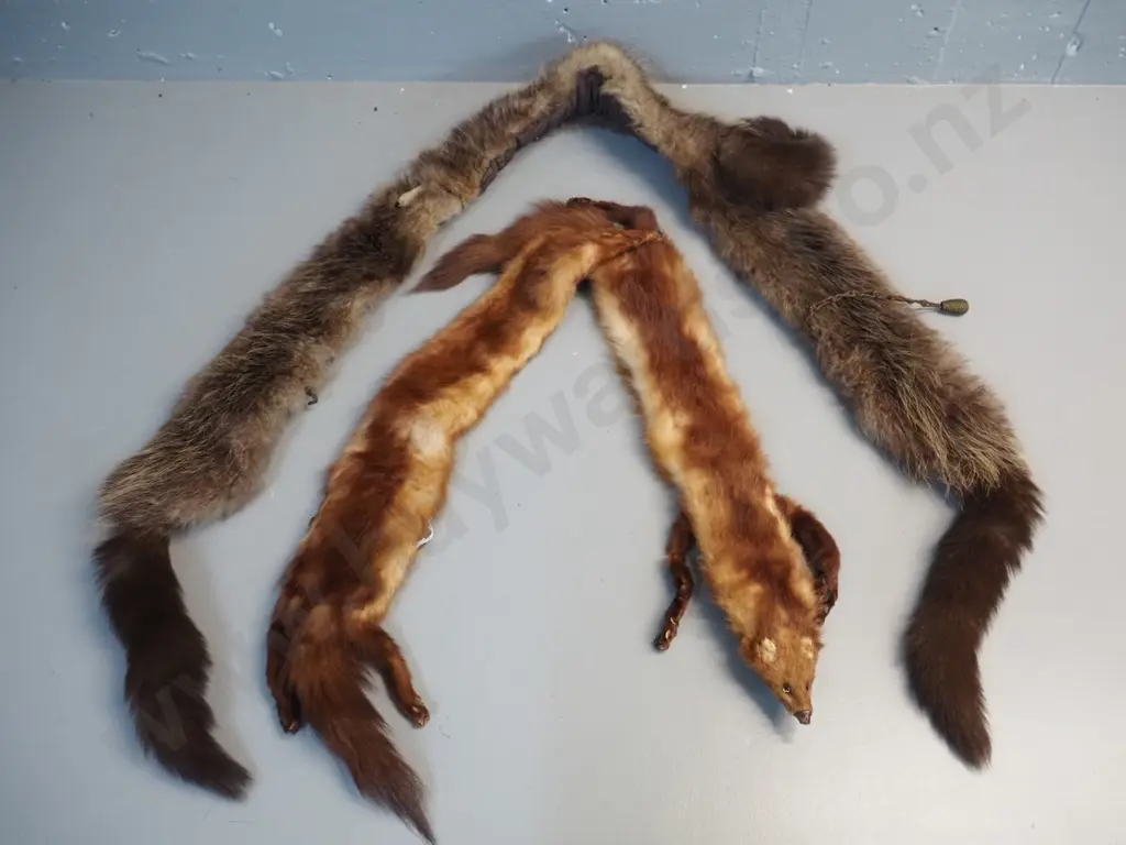 2 fox fur neck pieces - longer one is L1860 Image 1++