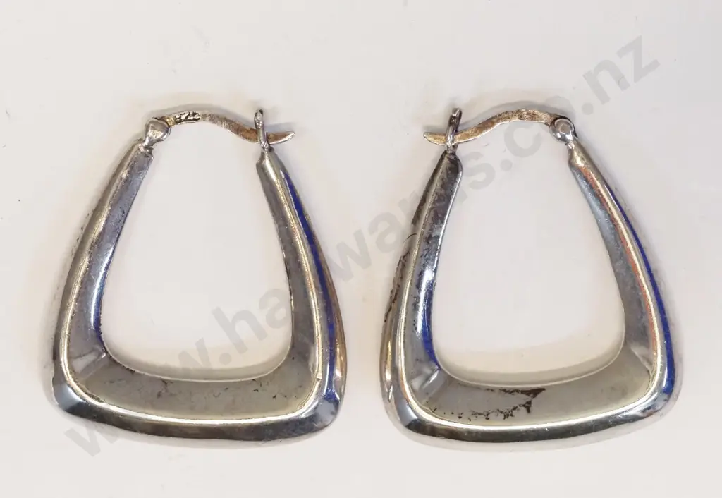pair of hoop silver earrings stamped 925 Image 1++