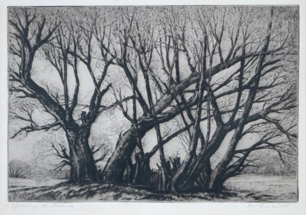 AH Mclintock - framed etching "Spring Willows" H-150 W-205 (framing needs attention) Image 1++