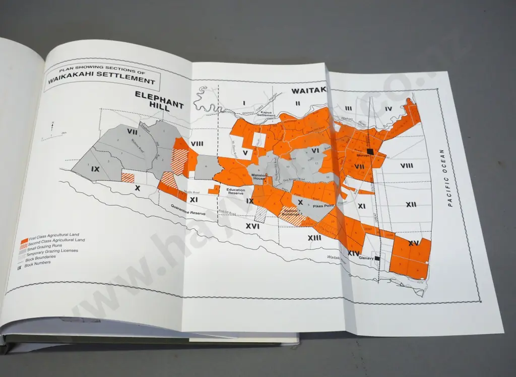 book: Waikakahi - Fulfilling the Promise - John Wilson, 1999 Capstan Press Image 1++
