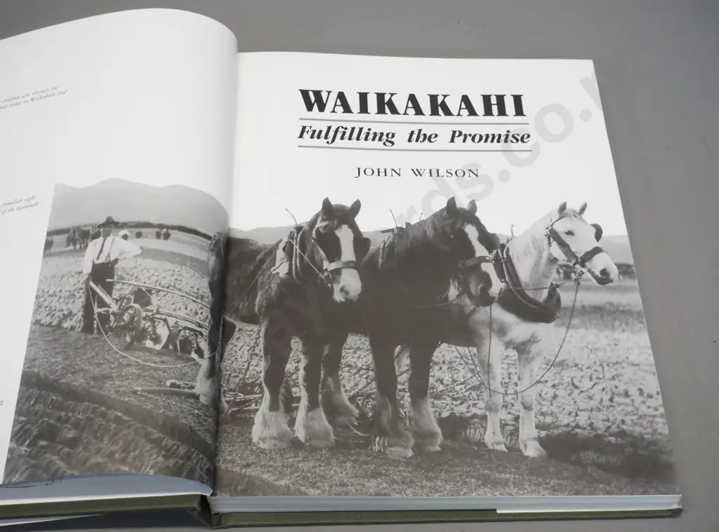 book: Waikakahi - Fulfilling the Promise - John Wilson, 1999 Capstan Press Image 1++