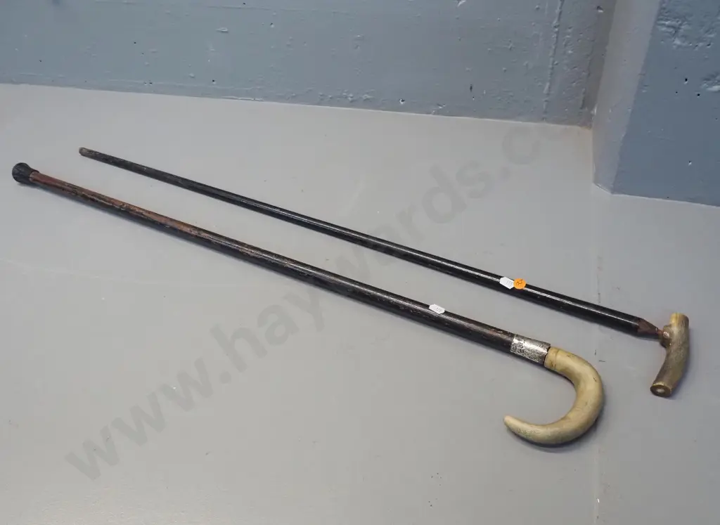 2 vintage walking sticks - one with bone handle and sterling band in rough condition, other horn-handled L-900 Image 1++