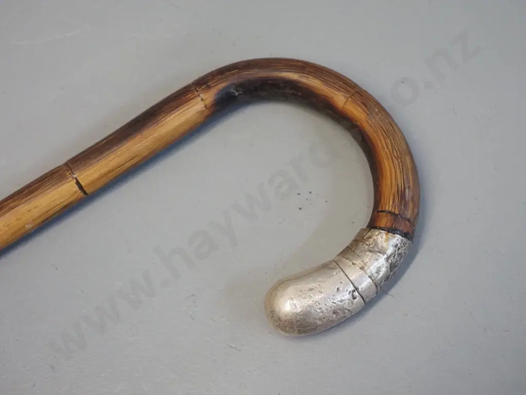 vintage cane walking stick with sterling silver tip and brass foot L-900 Image 1++