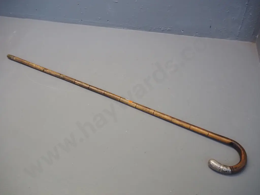 vintage cane walking stick with sterling silver tip and brass foot L-900 Image 1++