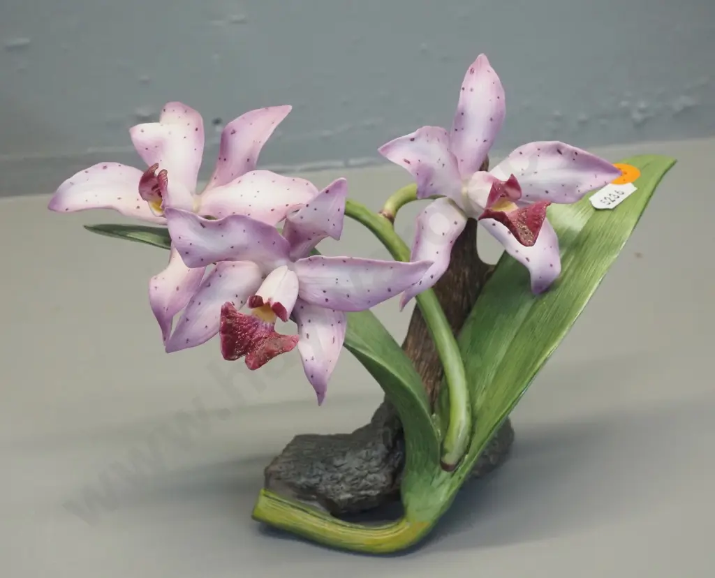 Ronald Van Ruyckevelt porcelain orchid figure marked "Glossy Amethyst" 11th World Orchid Conference H170 W220 Image 1++