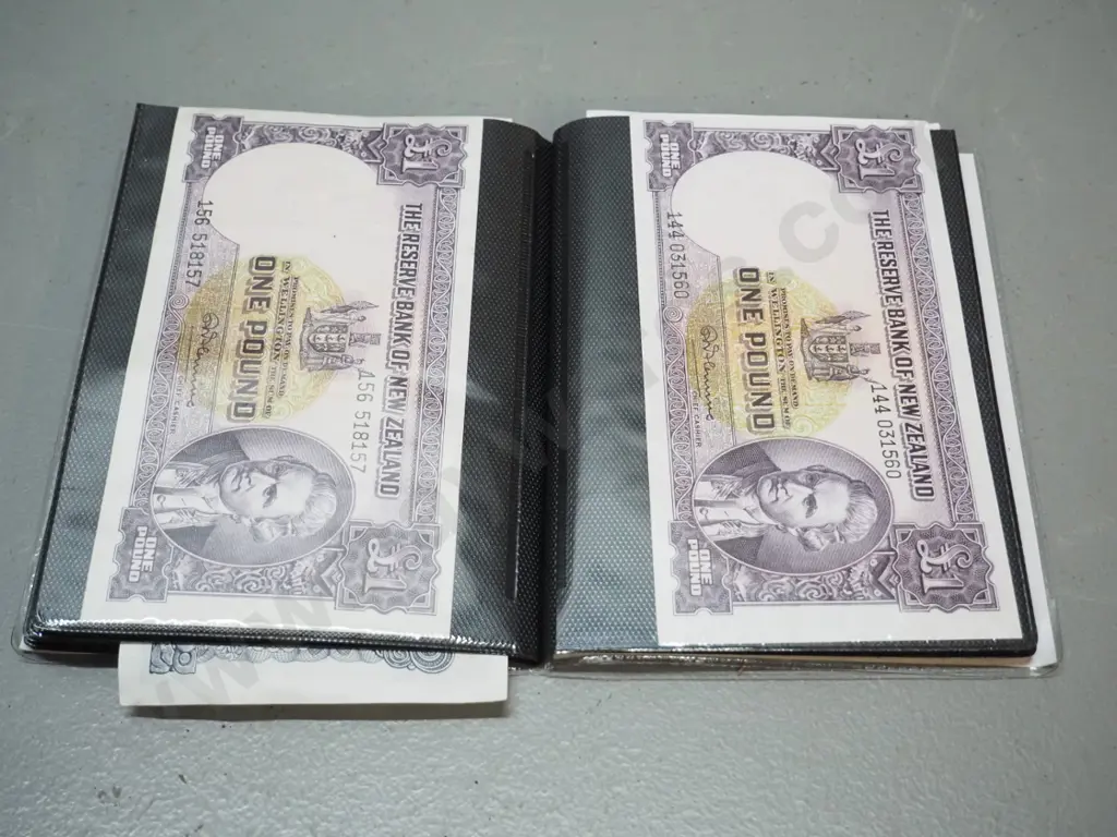 plastic wallet of New Zealand bank notes - 1 and 5 pound notes, Millennium $5 and other dollar notes, etc. Image 1++
