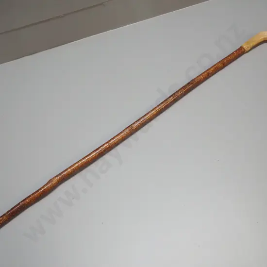 wooden walking stick with thistle motif composite or carved horn handle, has had repair L-990