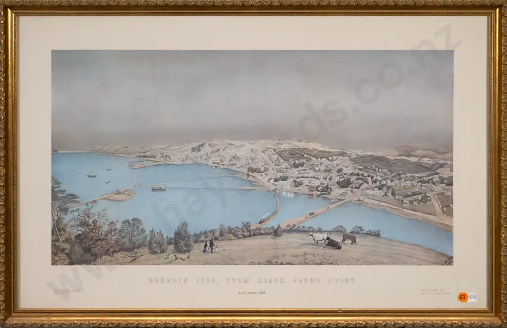framed historic print - Dunedin 1883, From Black Jack's Point H-310 W-570 Image 1++