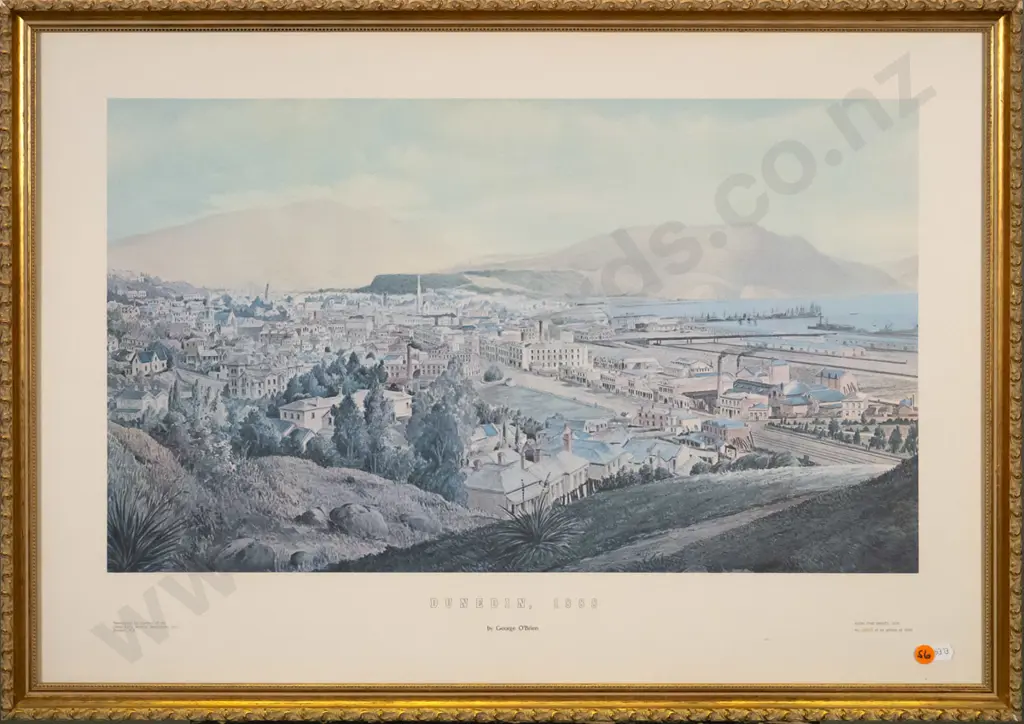 framed historic print - Dunedin 1888 H-340 W-570 Image 1++
