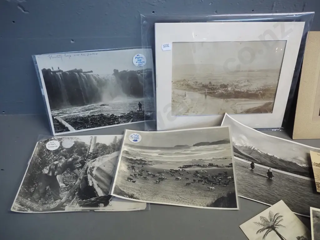 assorted New Zealand and Australia vintage photos and postcards - photos include Hokonui/Gore, Alexandra, kauri logging, Image 1++