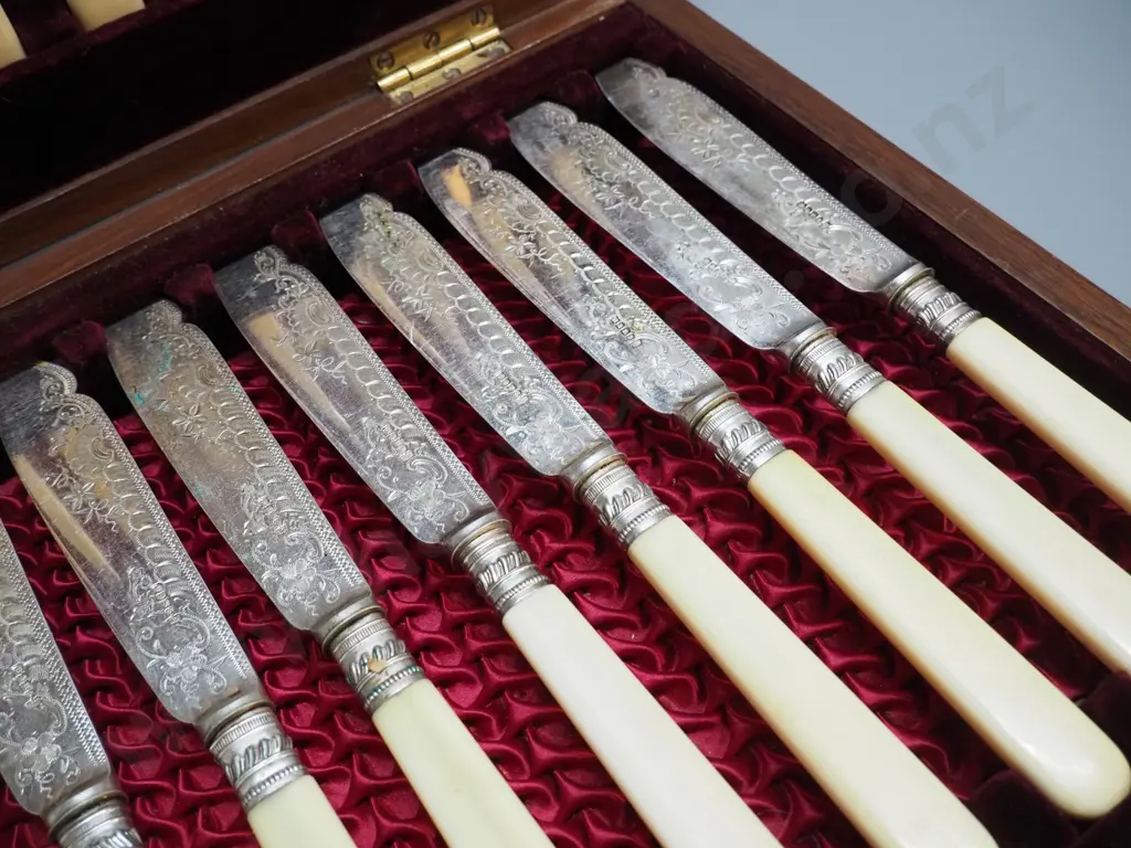 vintage wood-cased set bone-handled etched EPNS fish knives and forks Image 1++