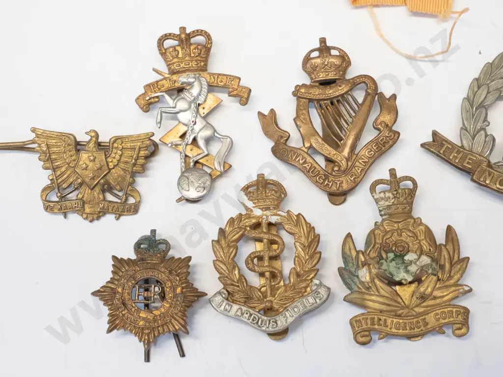 9 assorted regimental badges & 3 ribbons Image 1++