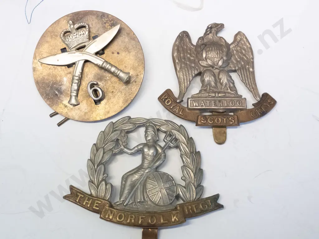 9 assorted regimental badges & 3 ribbons Image 1++