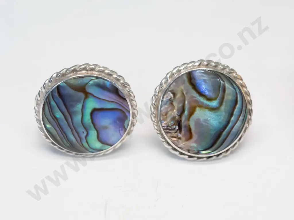 pair of silver paua shell earrings {screw on] & small trinket box with map of New Zealand & a kiwi Image 1++