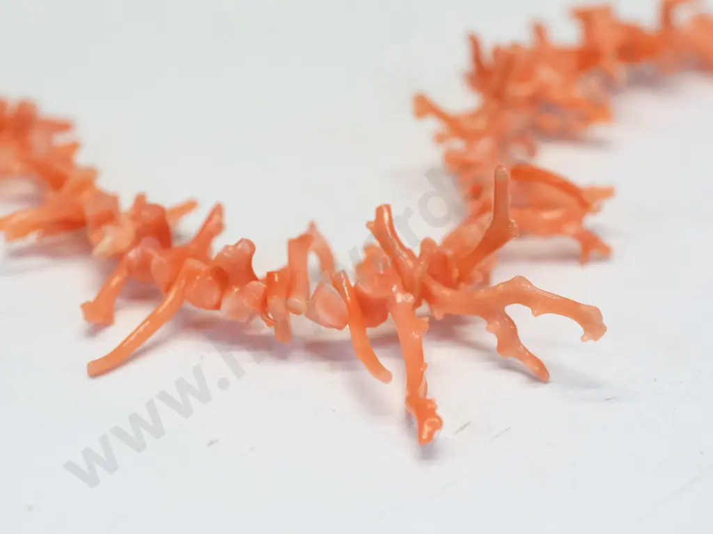 coral necklace Image 1++