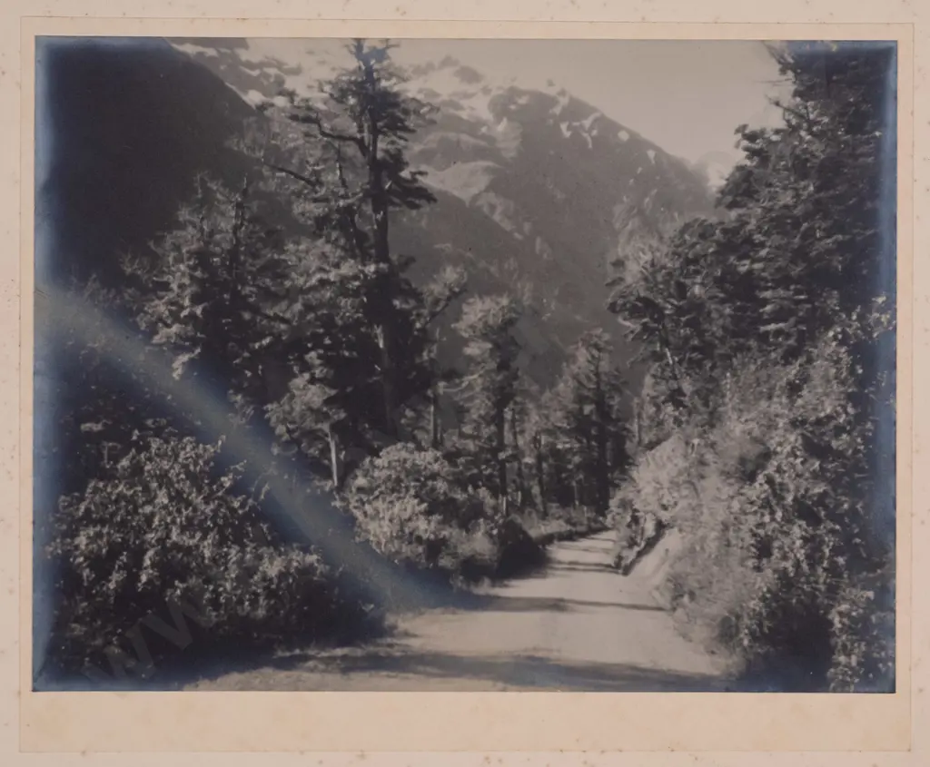 3x unframed George Chance black and white photographs (age damge and foxing) Largest H-210 W-250 Image 1++