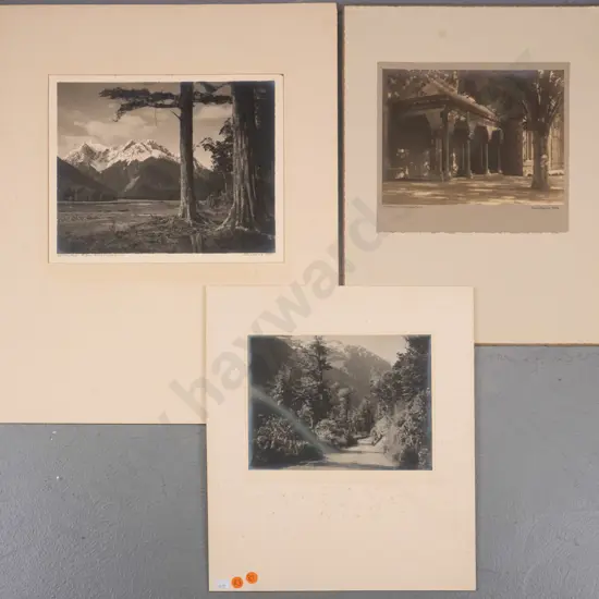 3x unframed George Chance black and white photographs (age damge and foxing) Largest H-210 W-250