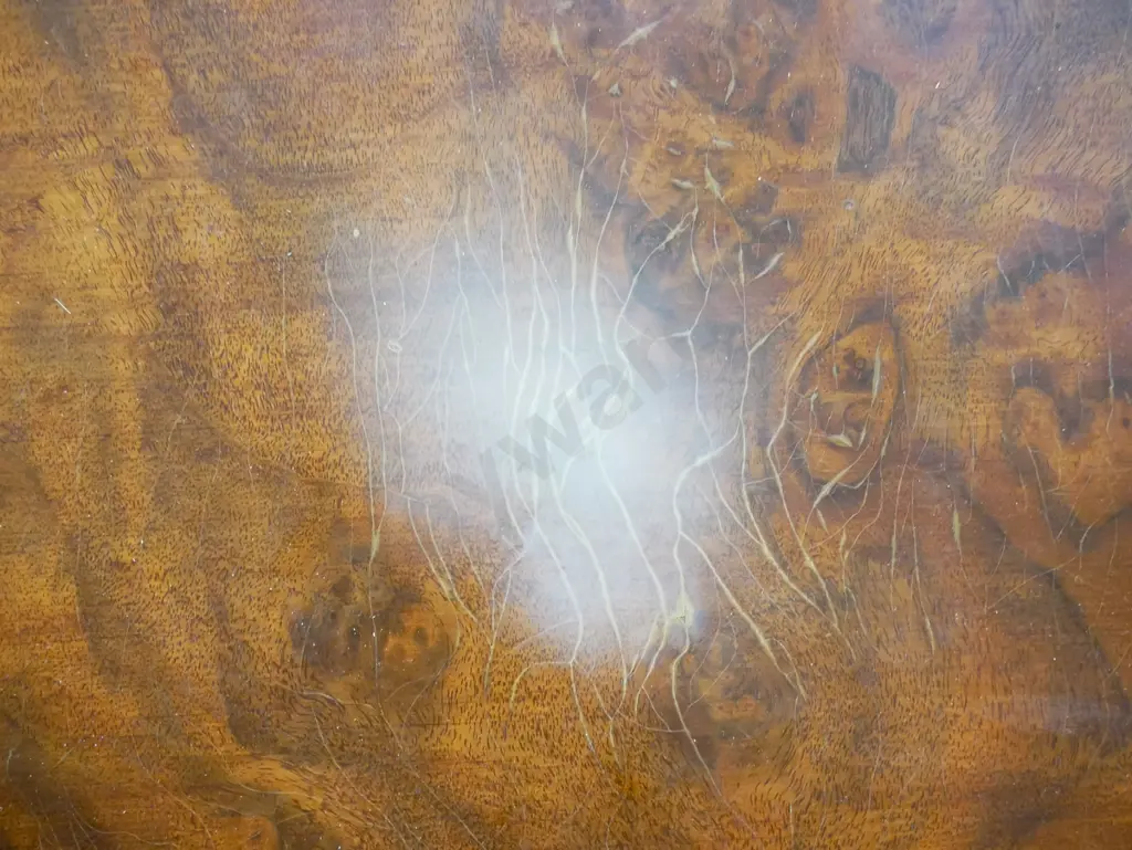 reproduction mahogany oval rope-edged dining table with burr walnut veneer top, pedestal base w/brass ball & claw feet, Image 1++