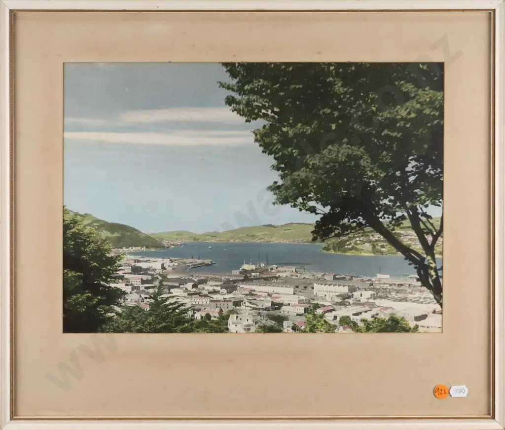 framed vintage hand coloured photograph - Dunedin (aging to mat, slight foxing to photograph) H-270 W-370 Image 1++