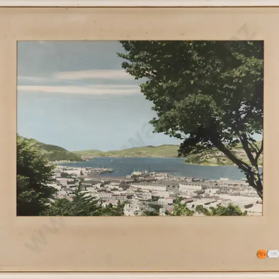 framed vintage hand coloured photograph - Dunedin (aging to mat, slight foxing to photograph) H-270 W-370