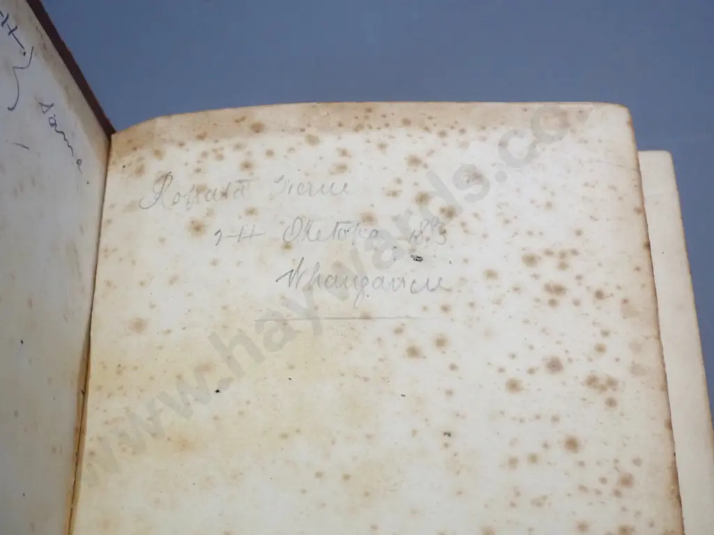 leather bound "Paiperi Tapu" translation of bible in Maori, published A.W.M. Watts 1868 - foxing, some separation to Image 1++