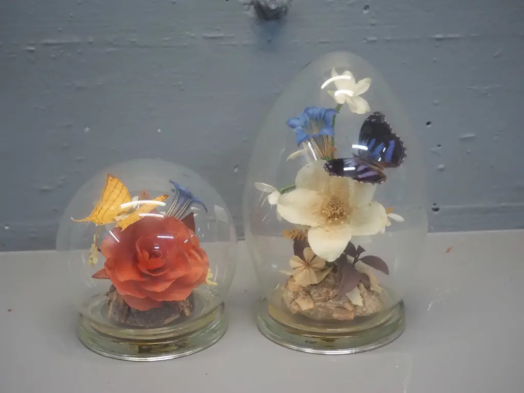 2 Michael Curzon flower and butterfly displays in egg-shaped glass domes - taller is H-200 Image 1++