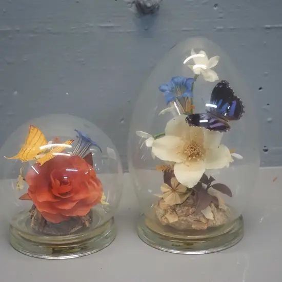 2 Michael Curzon flower and butterfly displays in egg-shaped glass domes - taller is H-200