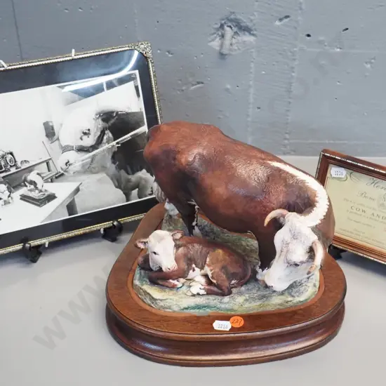 Hereford NZ hand-painted cow and calf figurine on fitted wooden base, H230 L260, with certificate and a framed photo