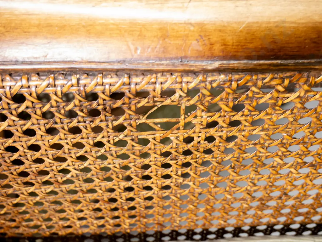 vintage mahogany bergere cane lounge suite w/carved ball & claw feet, some fading to velvet, uneven polish, some Image 1++