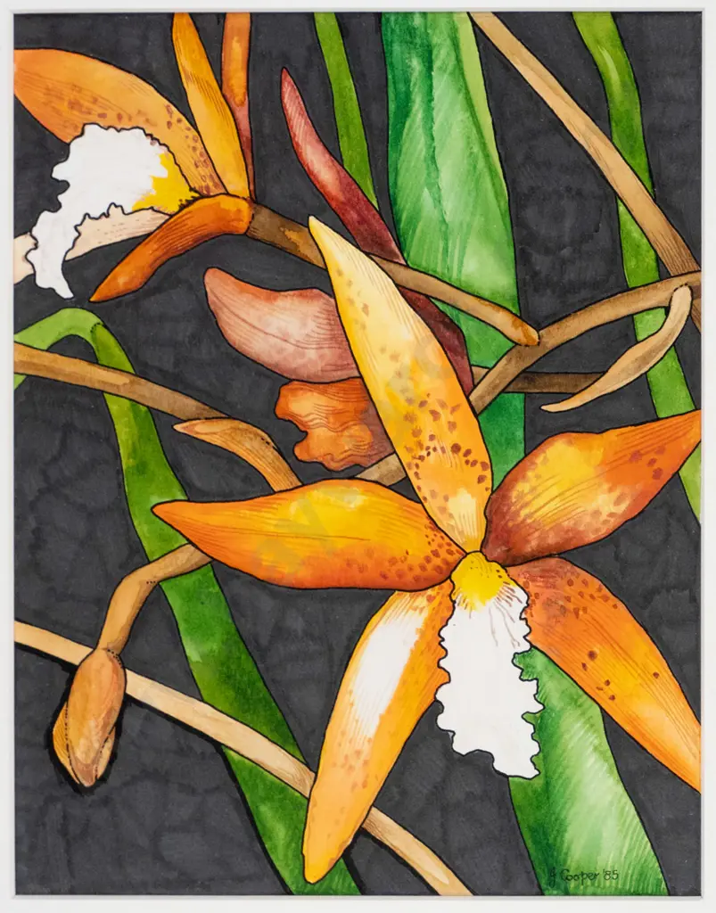 J Cooper'85 - framed watercolour - flowers H-260 W-200 Image 1++
