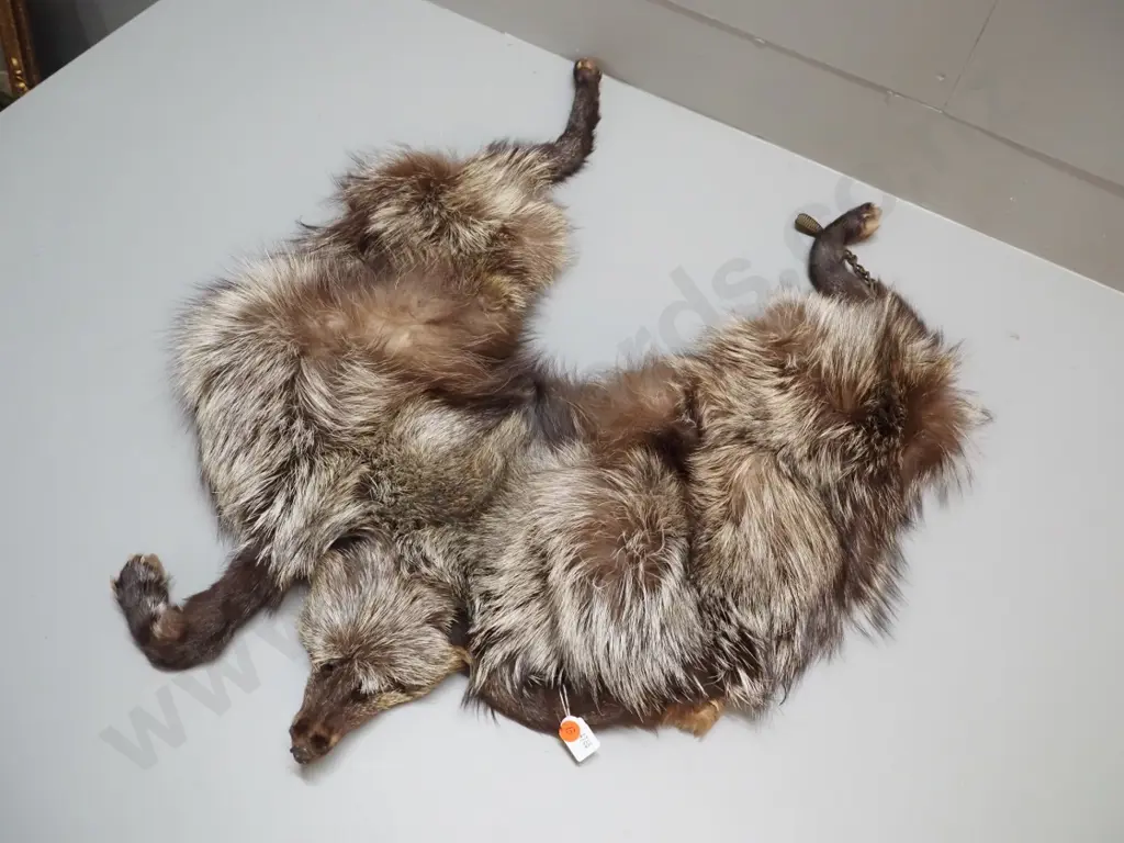 fox fur stole Image 1++