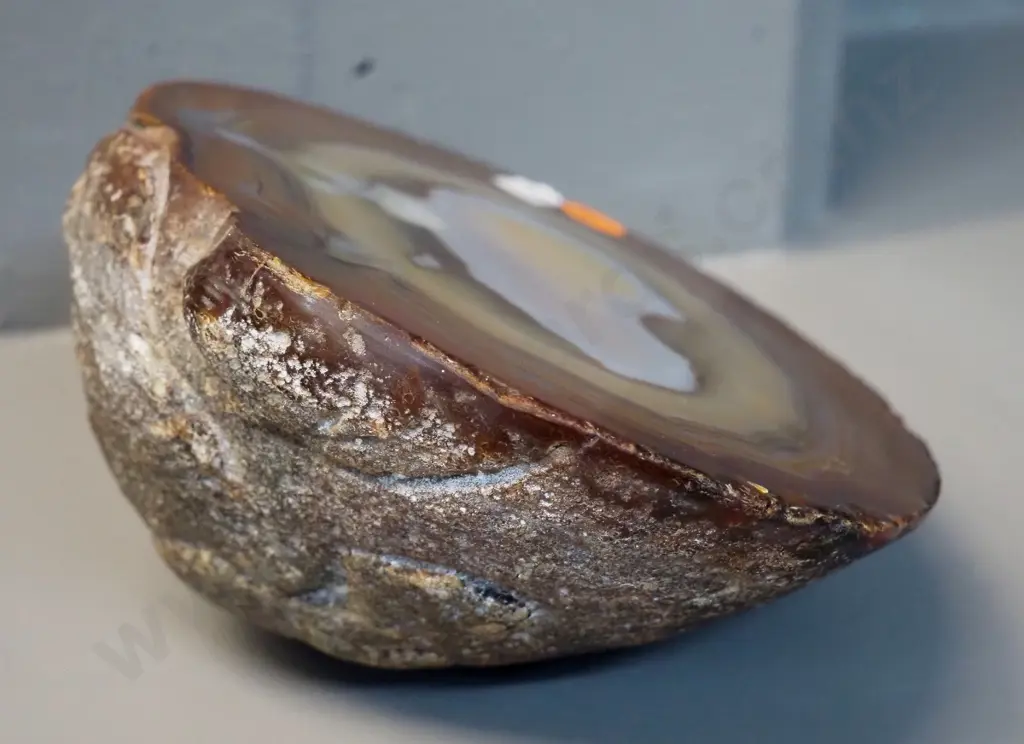 large agate specimen with one polished side L-290 W-150 Image 1++