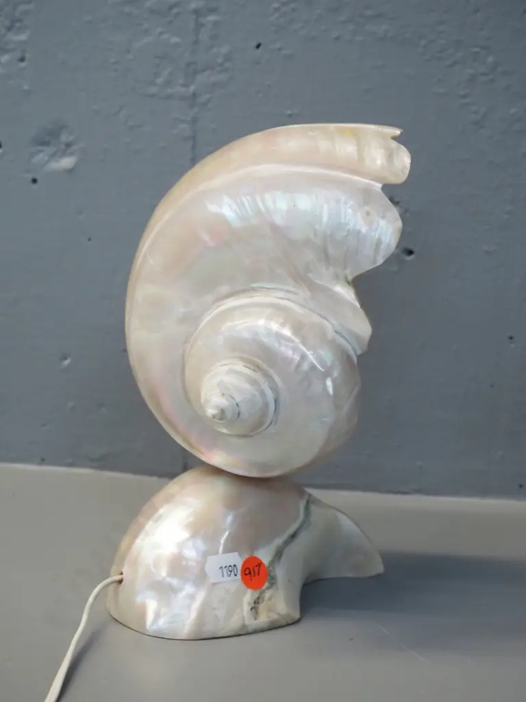 retro polished shell small table lamp H-220 Image 1++