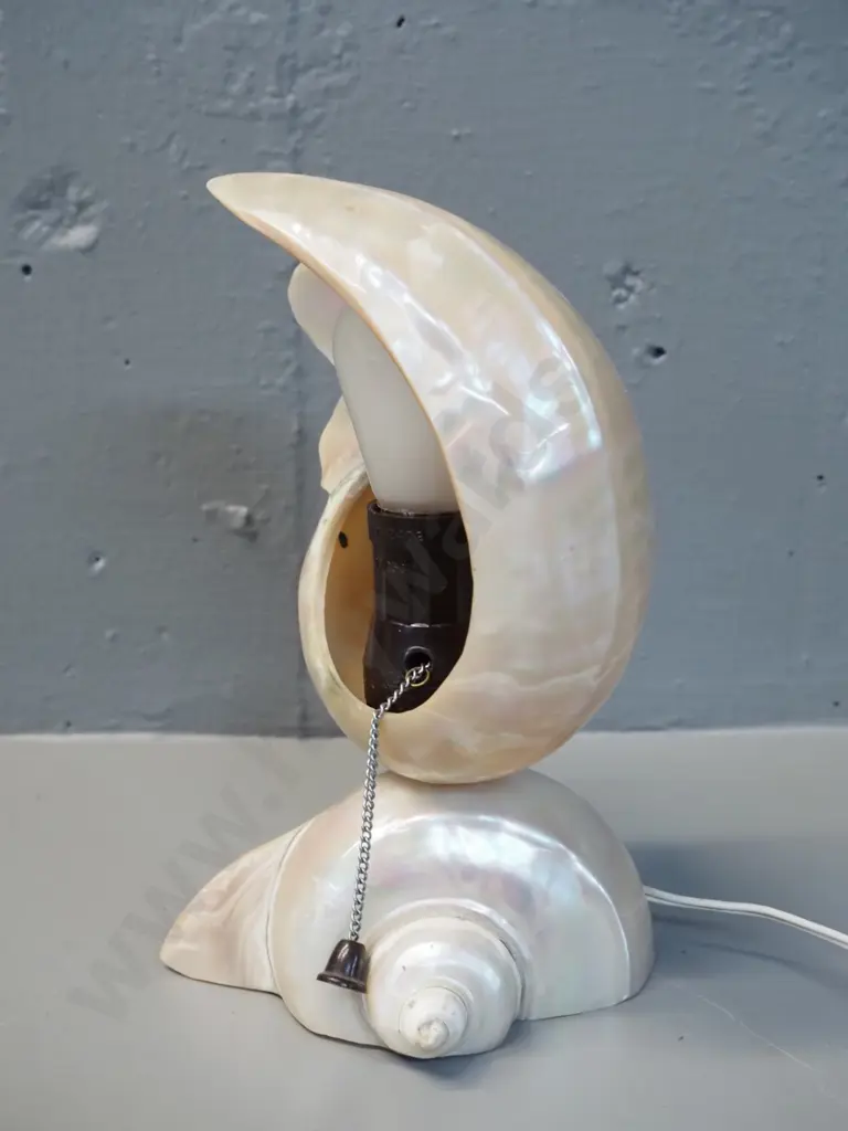 retro polished shell small table lamp H-220 Image 1++