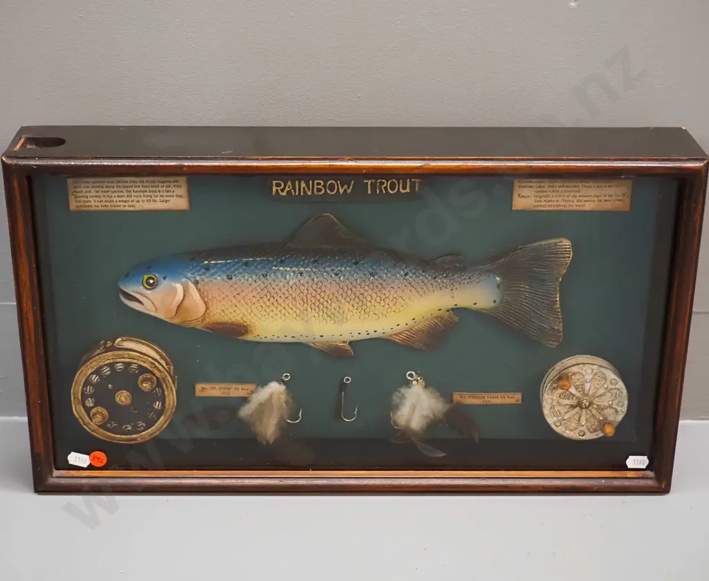 composite rainbow trout fishing themed display in glazed wall-mount timber case H-290 W-520 D-80 Image 1++