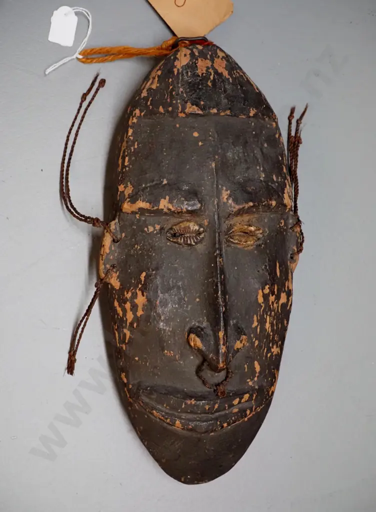 carved & painted wooden, one shell eye missing - New Guinea Sepik River canoe shield mask according to tag. H-340 W-170 Image 1++