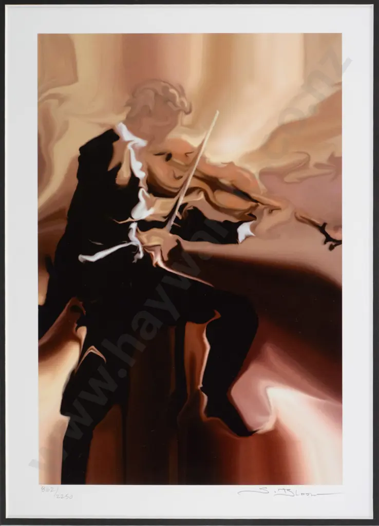 Steve Bloom - framed seriolithograph - H-285 W-190 - musician Image 1++