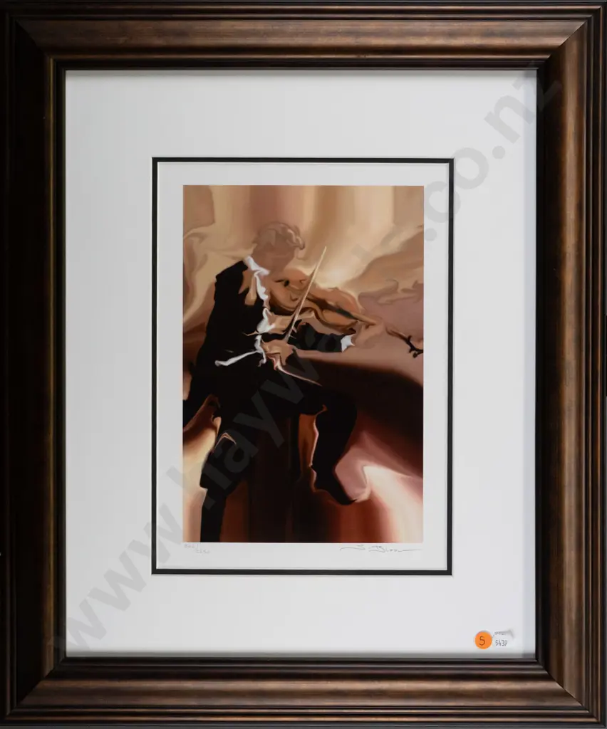 Steve Bloom - framed seriolithograph - H-285 W-190 - musician Image 1++
