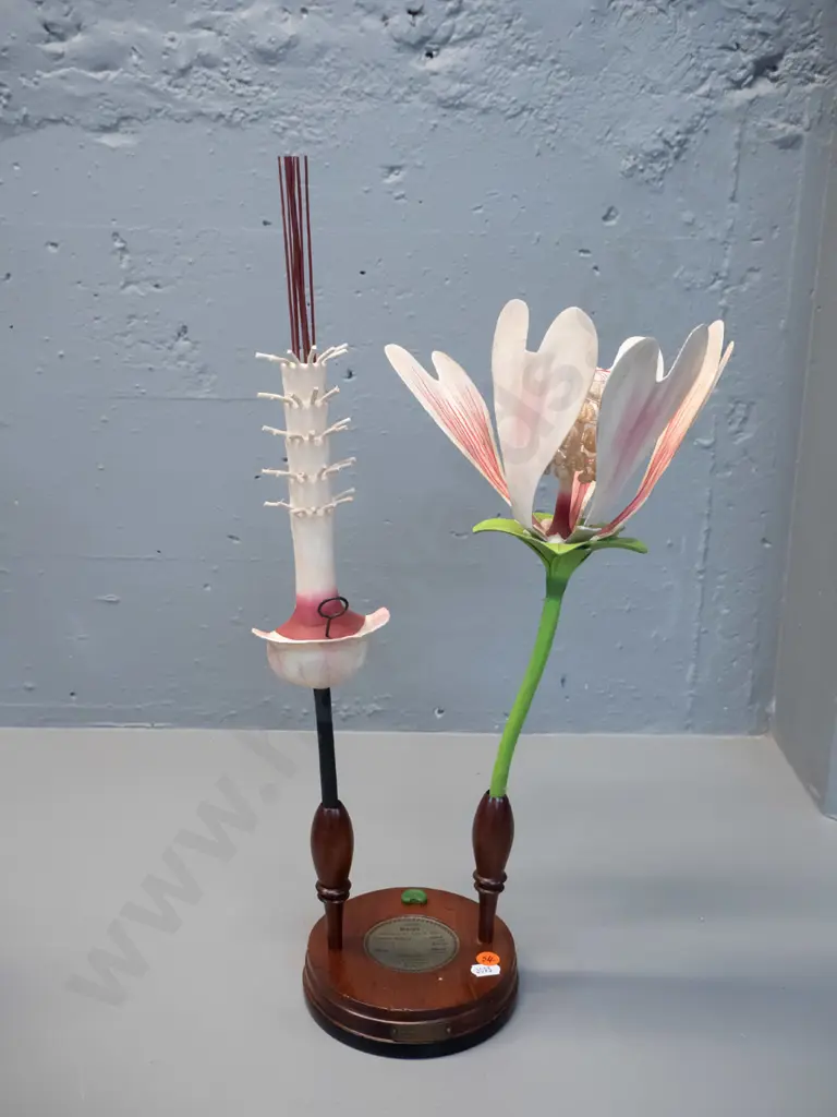 vintage Robert Brendel botanical model on separate wooden stand and base - No. 92 - Malva / common mallow. Some cracks Image 1++