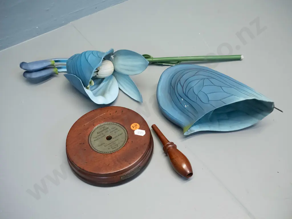 vintage Robert Brendel botanical model on separate wooden stand and base - No. 58 - aconitum / monkshood. Minor wear & Image 1++