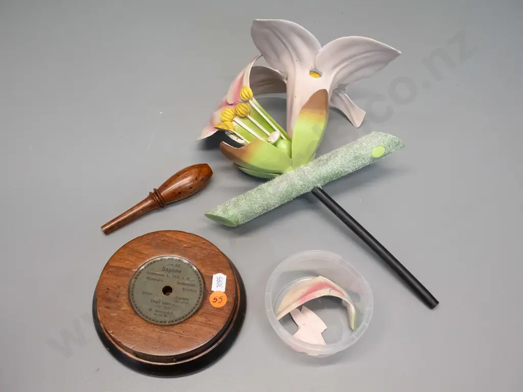 vintage Robert Brendel botanical model on separate wooden stand and base - No. 55 - Daphne H-380. Some damage, some Image 1++