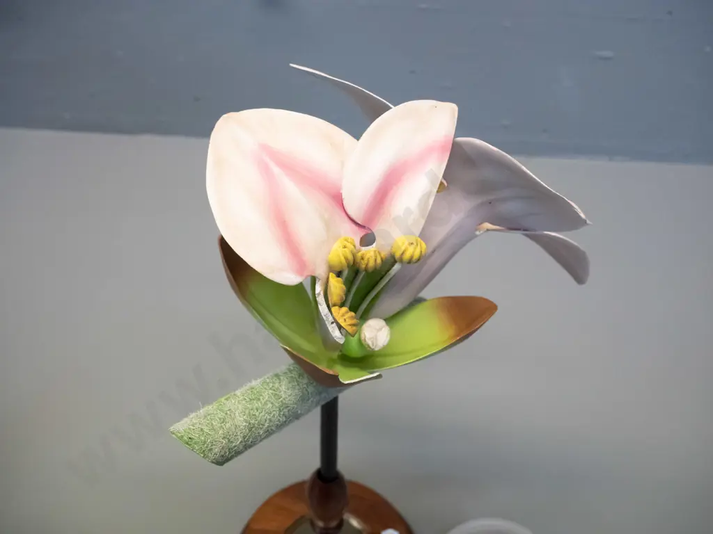 vintage Robert Brendel botanical model on separate wooden stand and base - No. 55 - Daphne H-380. Some damage, some Image 1++