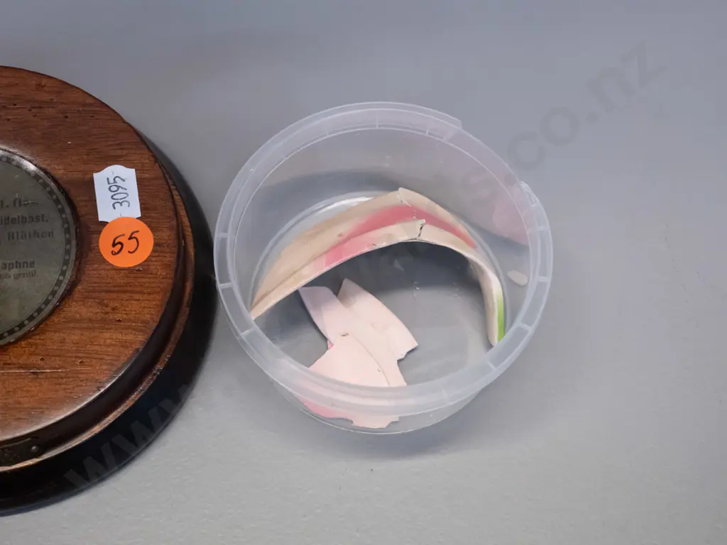 vintage Robert Brendel botanical model on separate wooden stand and base - No. 55 - Daphne H-380. Some damage, some Image 1++